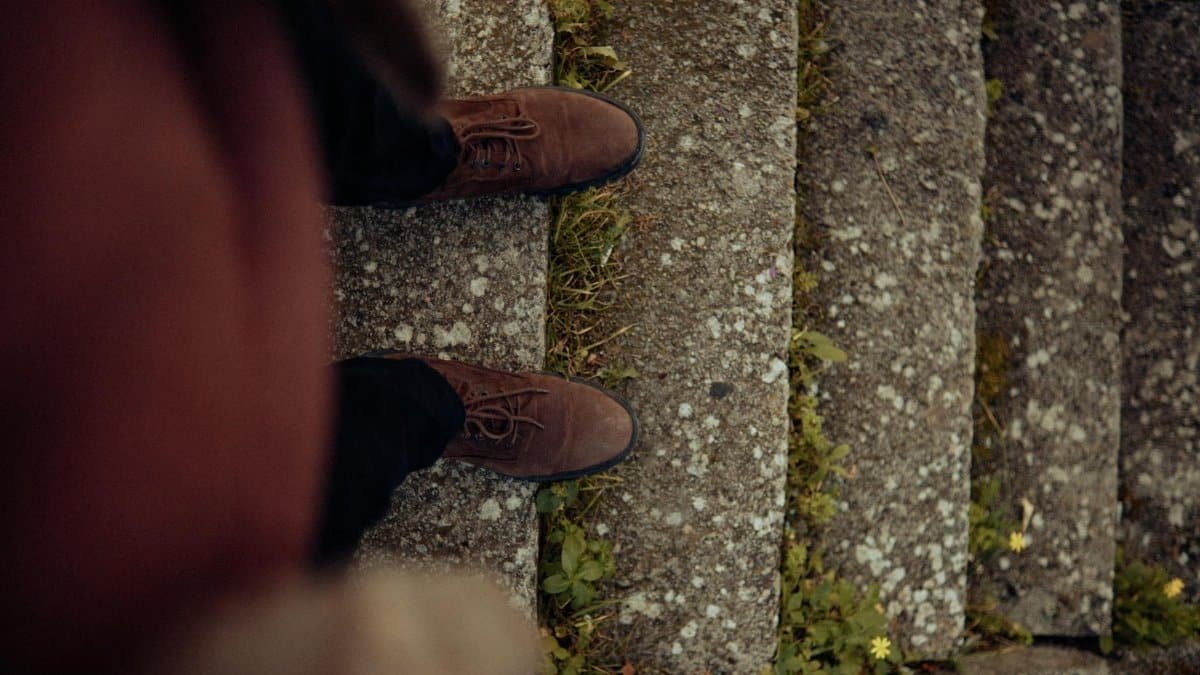Brown shoes on mossy stone steps, viewed from above with surrounding greenery.
