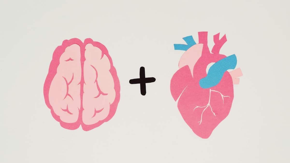 Creative art featuring a brain and heart on a white background symbolizing logic and emotion.