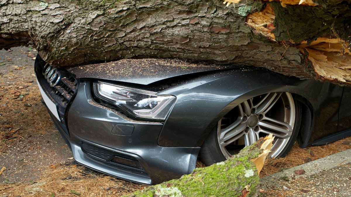 A vehicle damaged by a fallen tree after an accident in the United Kingdom.