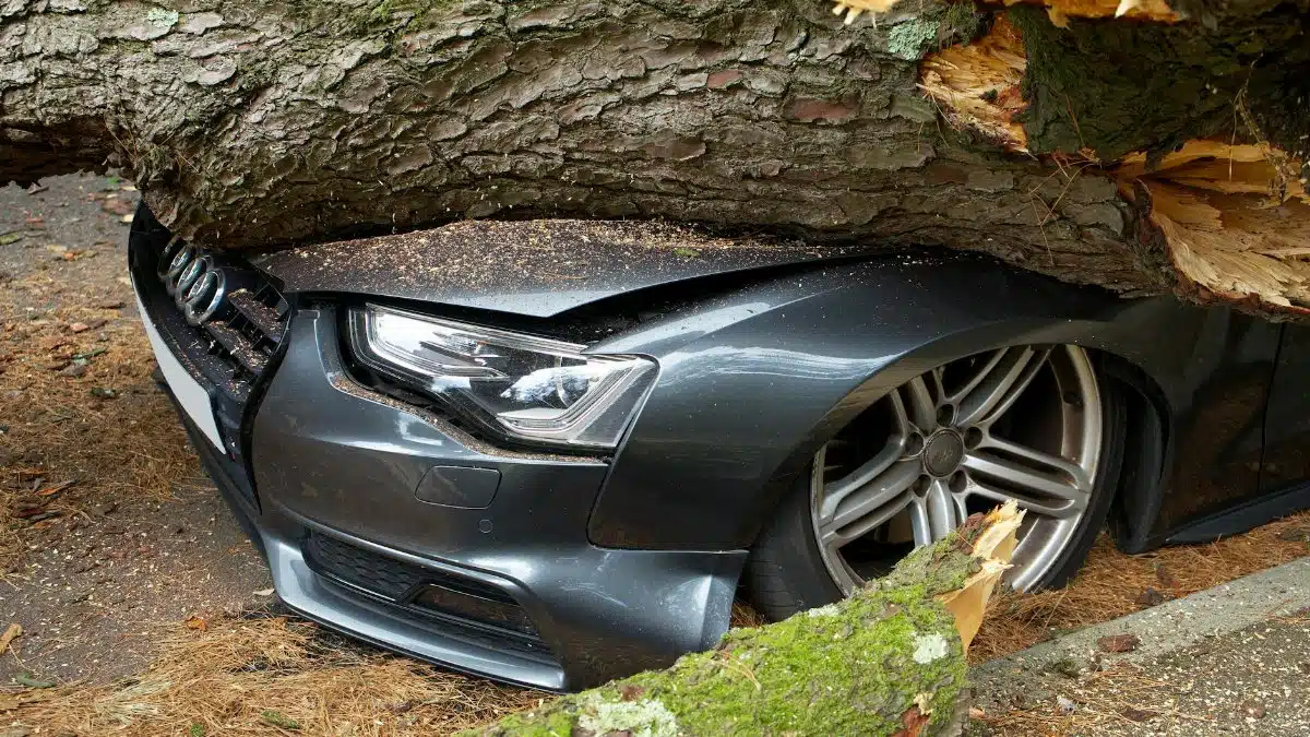 A vehicle damaged by a fallen tree after an accident in the United Kingdom.
