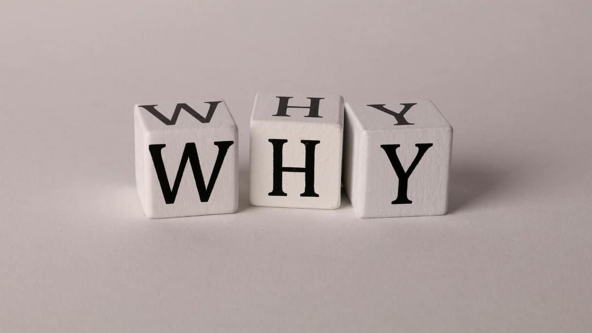 Close-up of lettered dice spelling 'WHY' on a neutral background, ideal for concepts of inquiry or curiosity.
