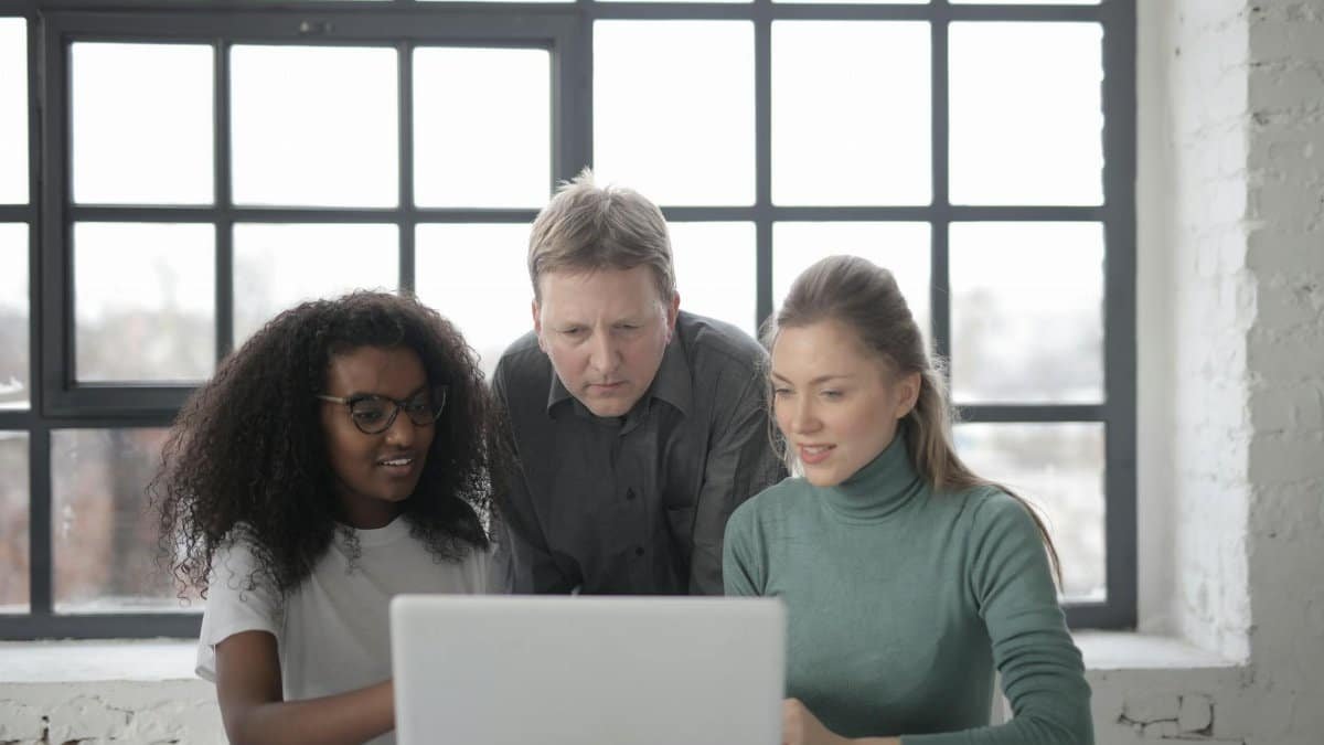 Positive focused multiracial colleagues read information from laptop while teamwork on project in office with industrial interior against big window at daytime