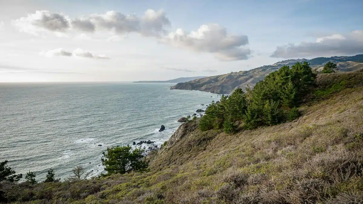 Breathtaking coastal view of Muir Beach, California with cliffs, ocean, and lush greenery.