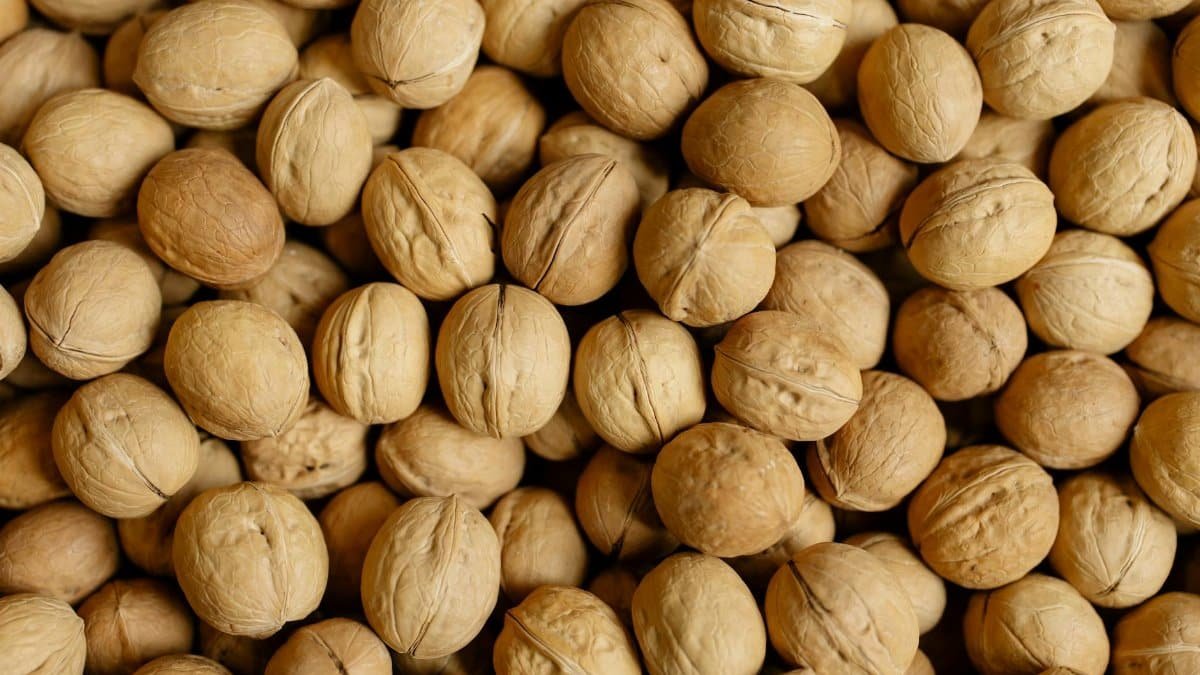 Close-up of unshelled walnuts for a healthy and protein-rich snack.
