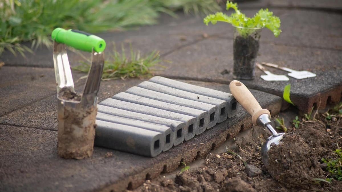 Close-up of gardening tools and seedlings in an outdoor garden setting, ideal for planting enthusiasts.