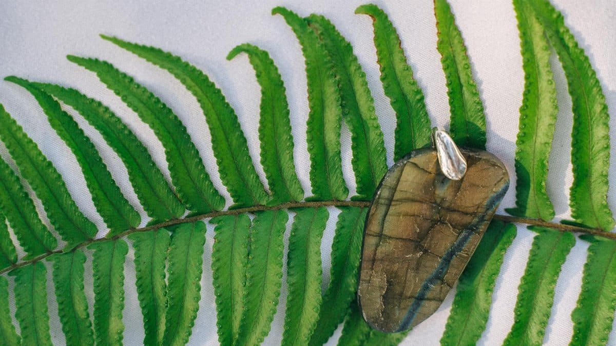A labradorite pendant placed on a vibrant green fern leaf, showcasing natural beauty.