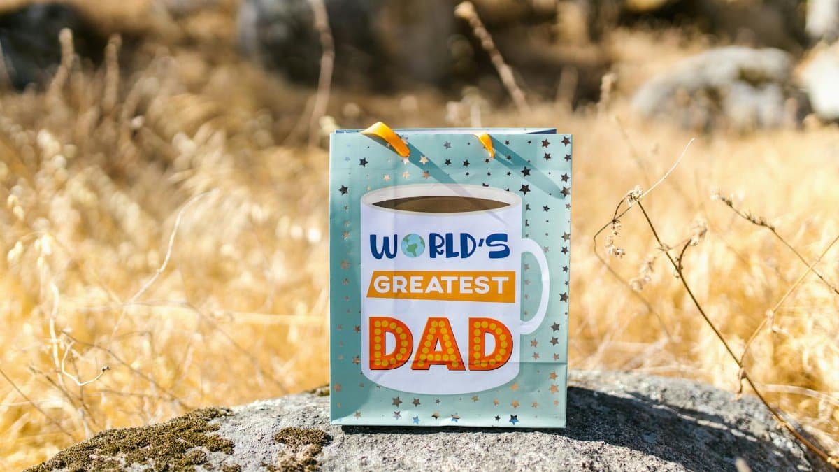 A gift bag with 'World's Greatest Dad' text set outdoors on a rock with dry grass.