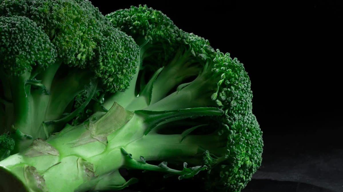 Close-up shot of fresh broccoli showcasing vibrant green colors on a dark black background.