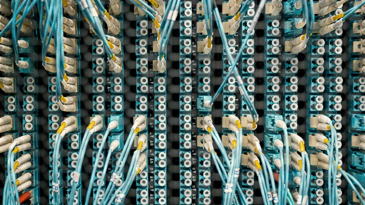 Close-up of a network patch panel with connected cables in a data center, showcasing organized cable management.