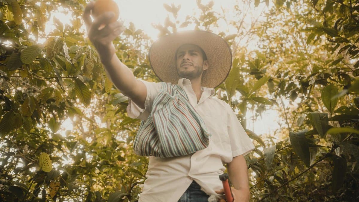 A farmer in Naranjos, Perú, holding an orange in a summer orchard.