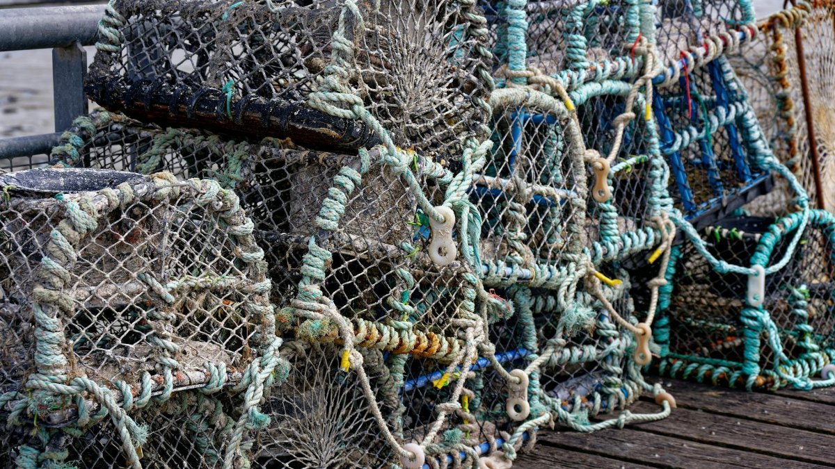 Close-up of stacked fishing traps on a wooden pier, showcasing marine industry tools.