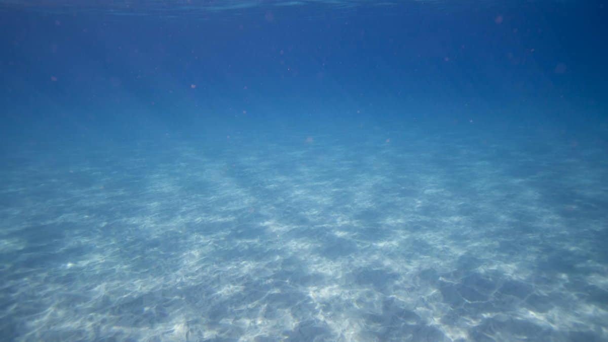 Crystal clear underwater scene in Hawaii showcasing sparkling sea floor and tranquility.