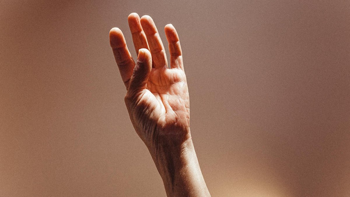Detailed image of an adult hand with visible wrinkles, captured in warm natural light.