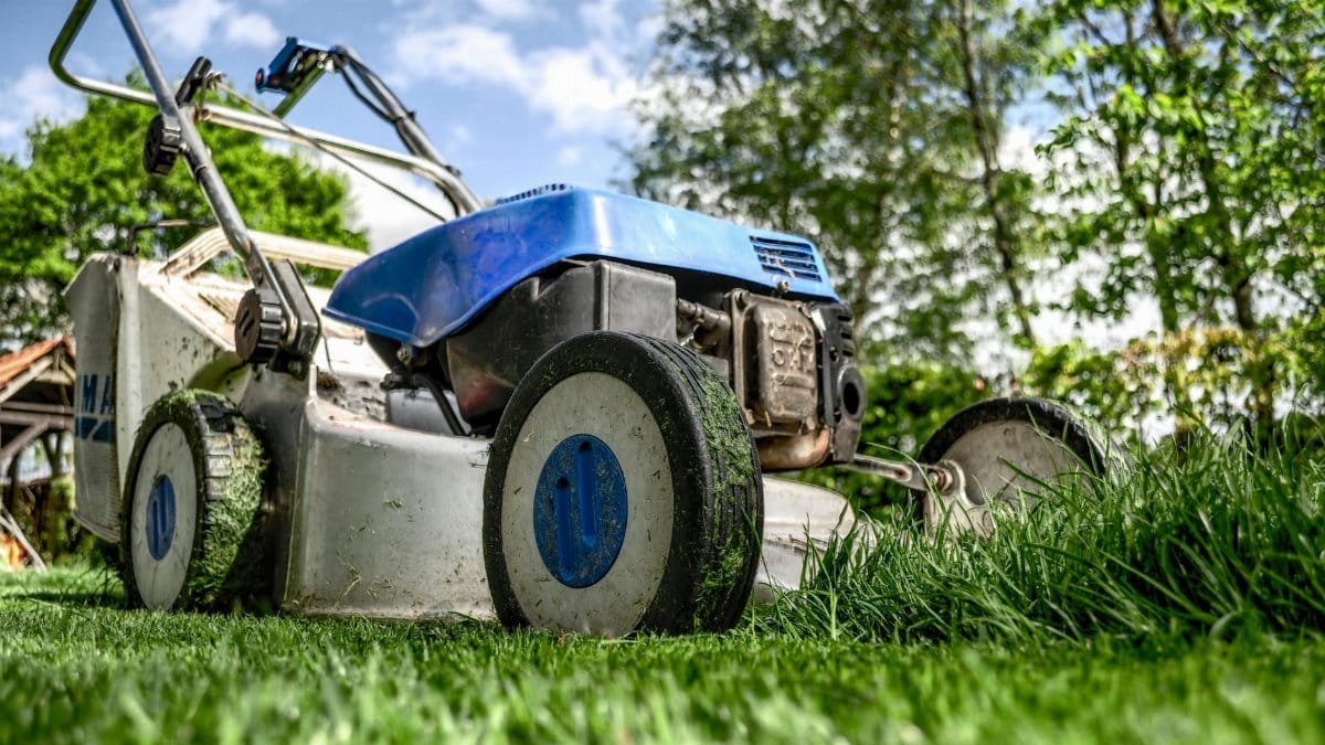 Close-up view of a lawn mower cutting grass in a garden on a sunny day.