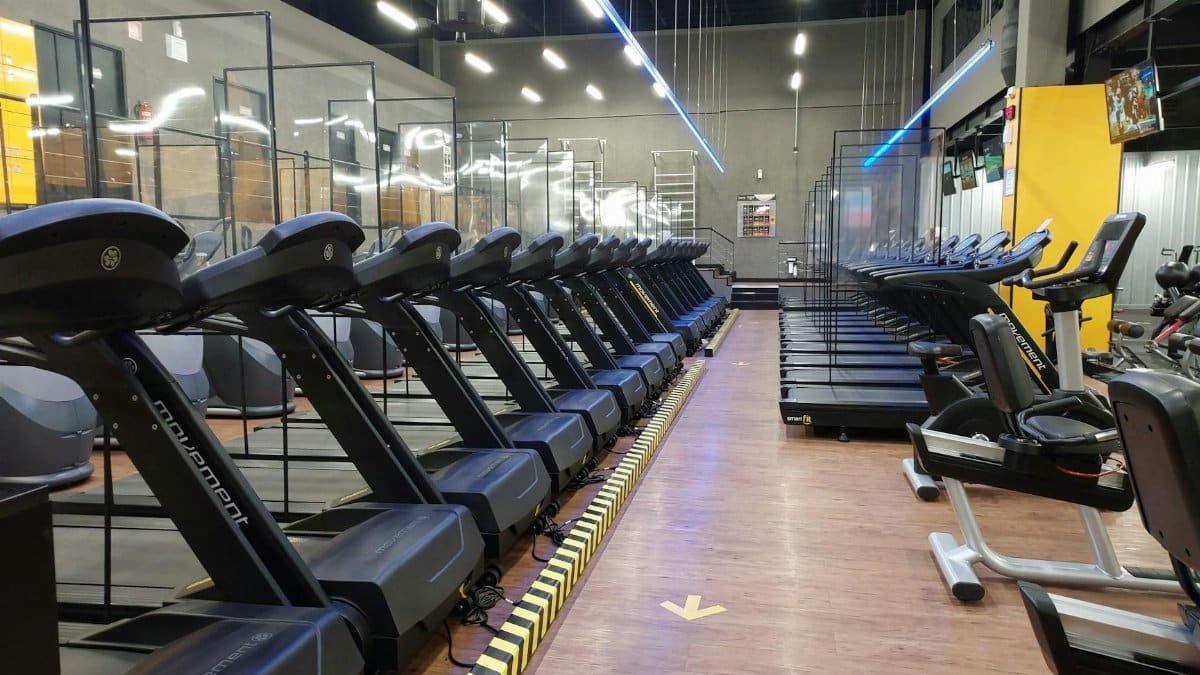 Row of treadmills and exercise machines in a well-lit modern gym setting.