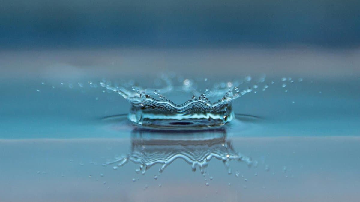Macro shot of a water droplet creating a ripple effect on the water surface.