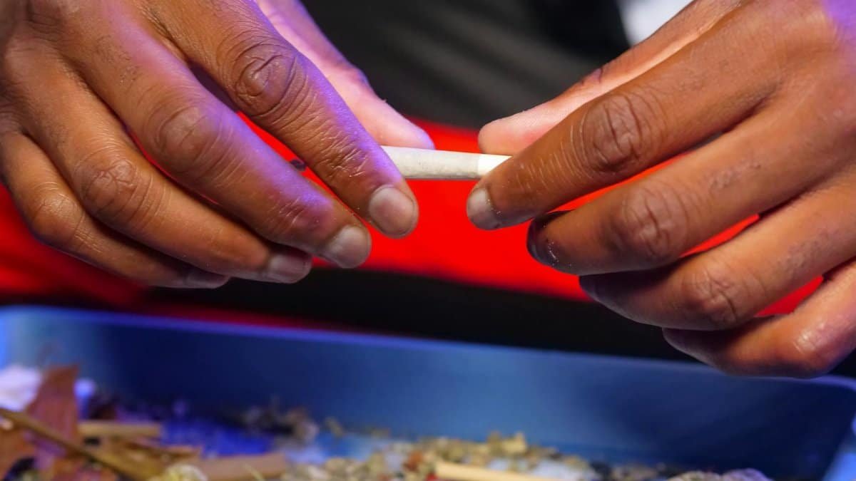 Close-up of hands preparing a cannabis joint using a rolling paper and tray.