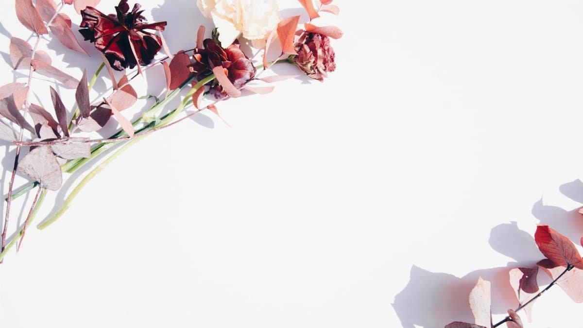 Minimalist flat lay of red and pink flowers on a white backdrop, perfect for romantic or wedding themes.