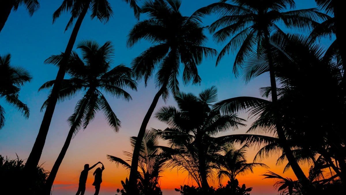 Silhouetted couple dancing under palm trees at tropical beach sunset, capturing romance and idyllic scenery.