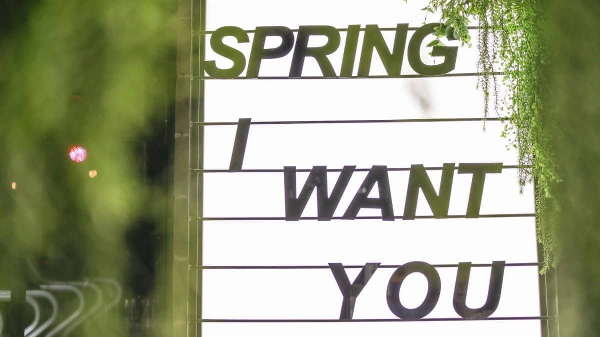 Sign glowing in white light consisting of several compartments with black inscription Spring I Want You surrounded by blurred green plants in evening on street