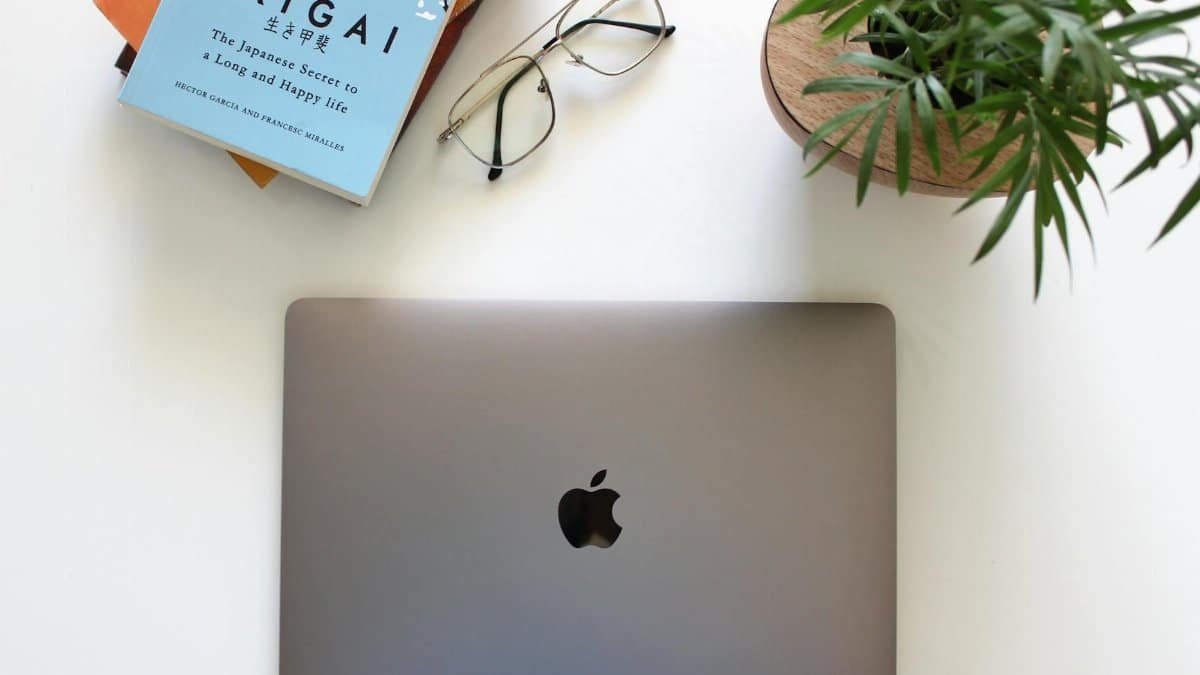 A minimalist workspace featuring an Ikigai book, laptop, and potted plant for a serene setup.