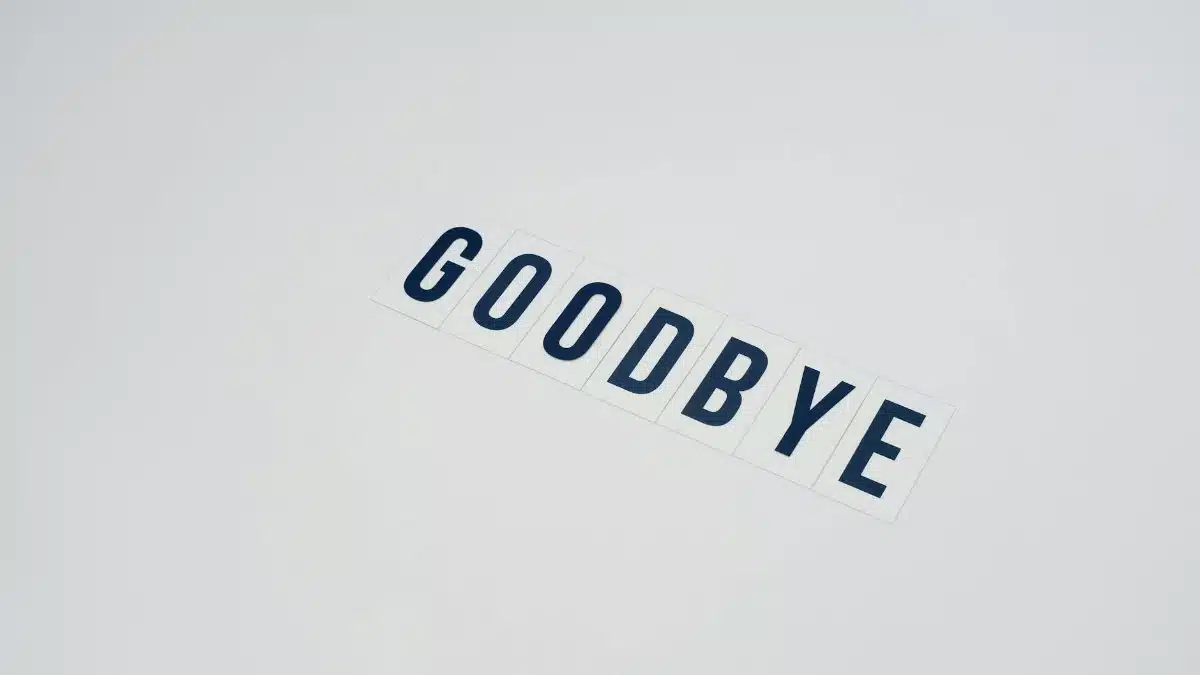 Simple typography displaying the word goodbye on a clean white background, offering ample copy space.