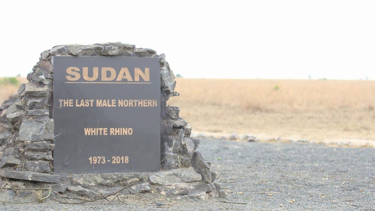 Memorial plaque for Sudan, the last male northern white rhino, located in Kenya.