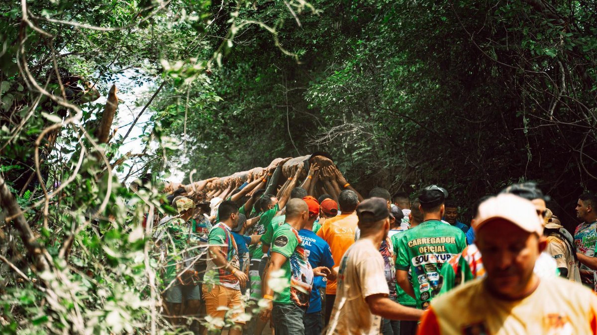 A diverse group of men collaboratively lifting a large tree log in a lush forest setting.