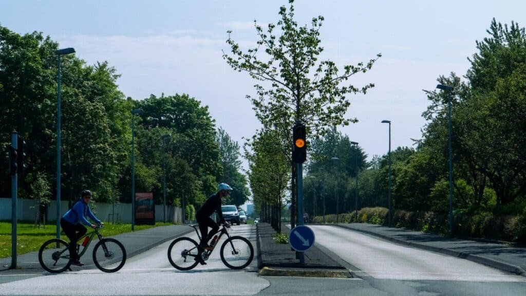 Two cyclists wait at a traffic light on a tree-lined road on a sunny day.