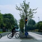 Two cyclists wait at a traffic light on a tree-lined road on a sunny day.