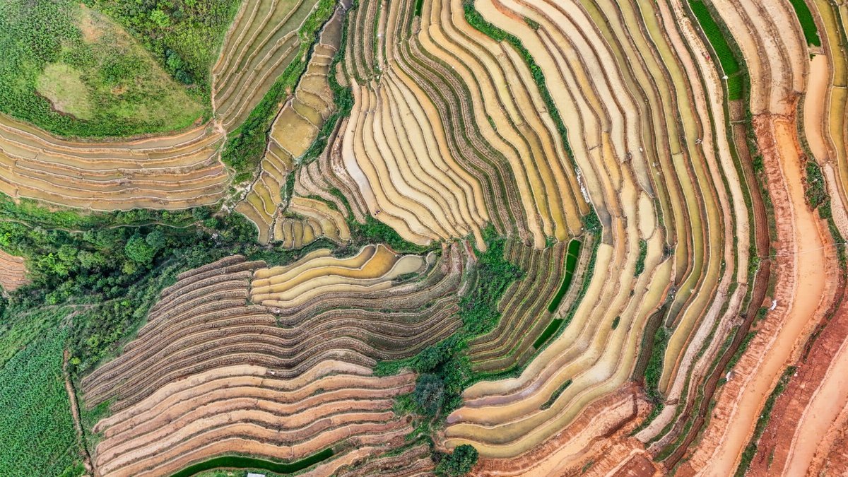 Stunning aerial photograph of Vietnamese rice terraces with vibrant colors.