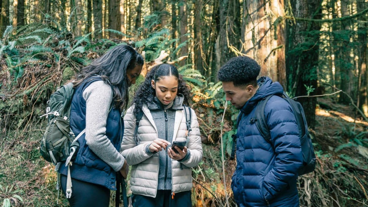 A group of young hikers standing in the forest using a smartphone for navigation.
