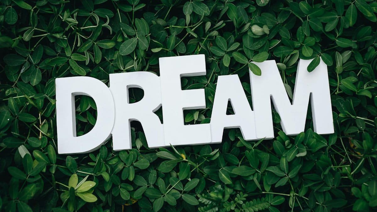 Word 'Dream' in white letters on lush green leaves, symbolizing growth and inspiration.