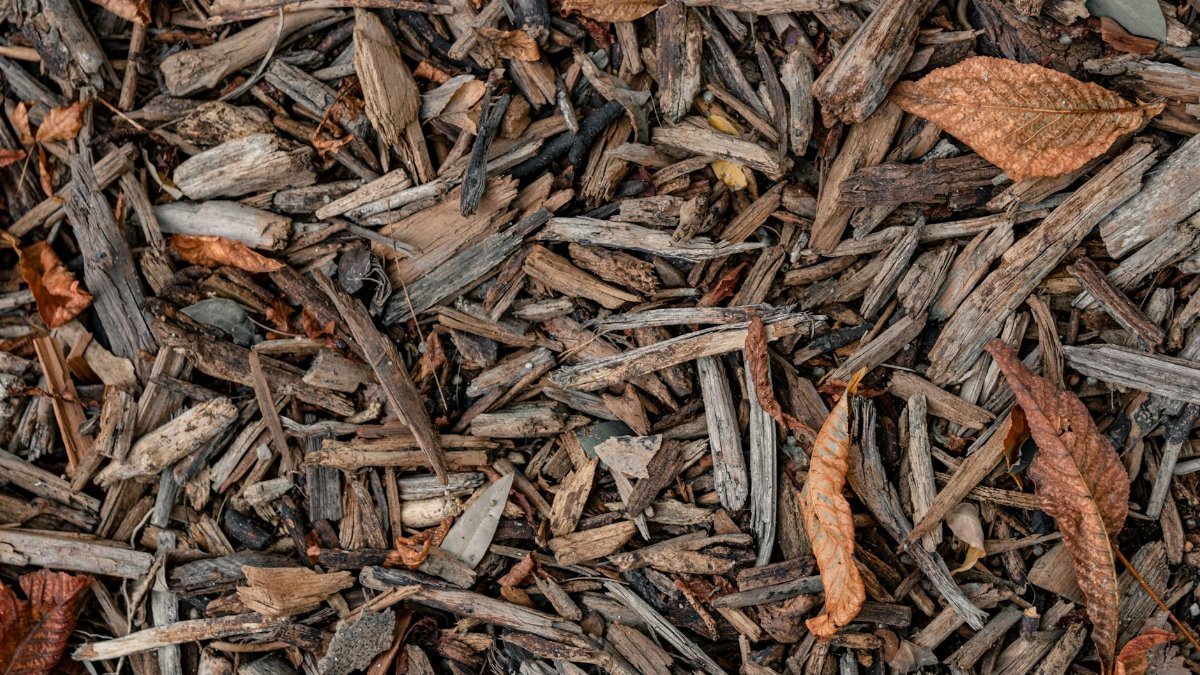 Close-up of brown wood mulch and dry autumn leaves, perfect for background use.