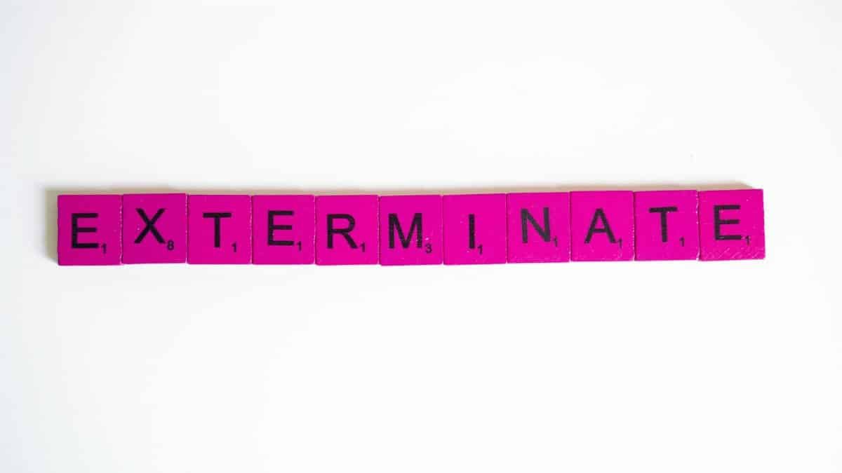Pink Scrabble tiles spelling "exterminate" on a white background for creative design.