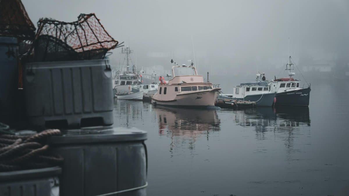 A serene foggy harbor scene with moored motorboats and fishing traps at dawn.