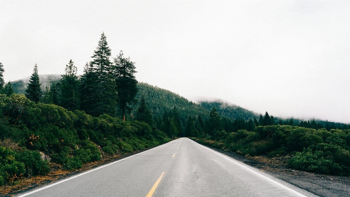 Open road through lush forest landscape with overcast skies, perfect for nature travel themes.
