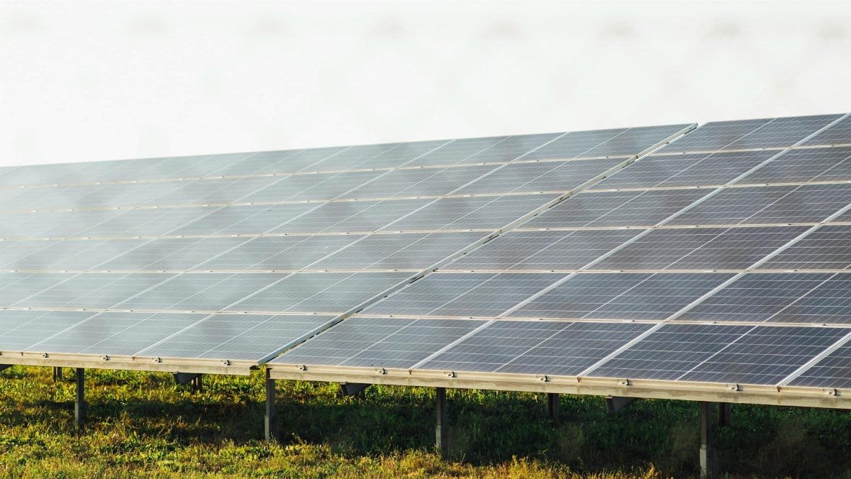 Expansive solar panel array harnessing clean energy in a sunny outdoor field scene.