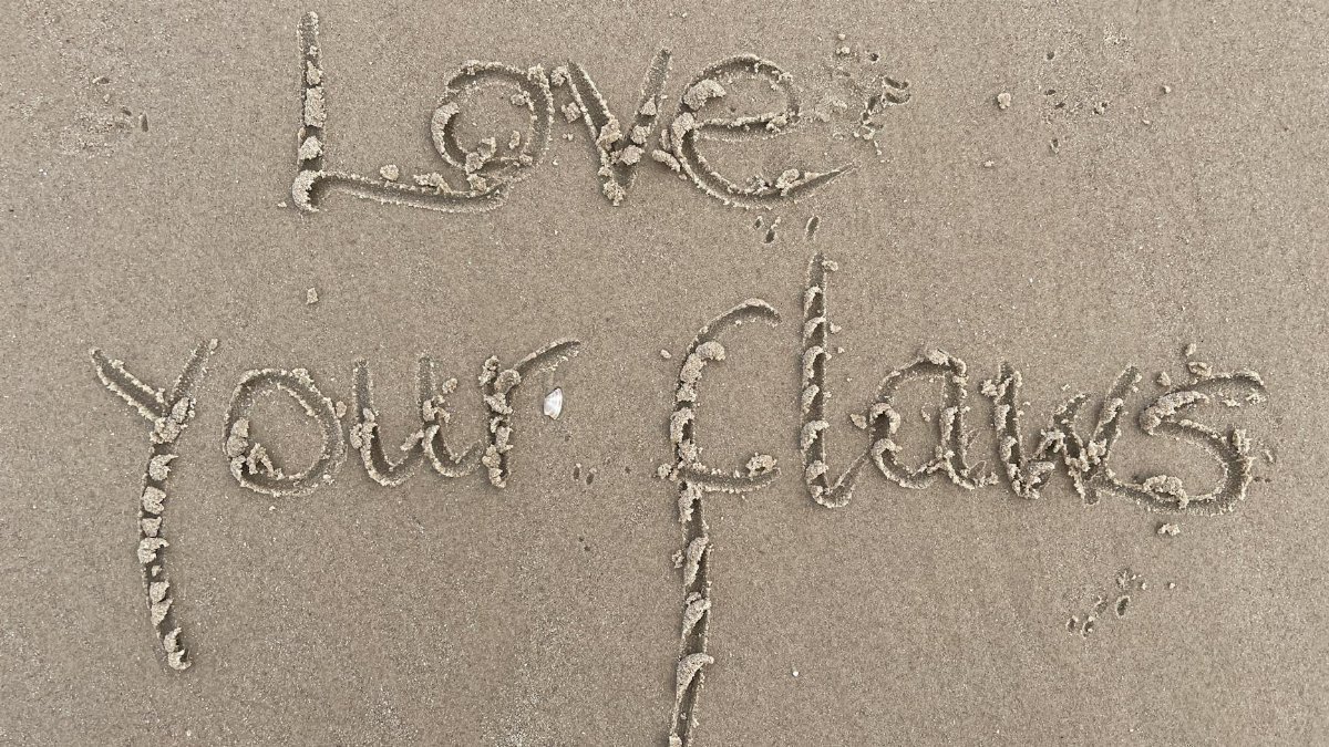 Inspirational message 'Love your flaws' written in sand on a Scottish beach.