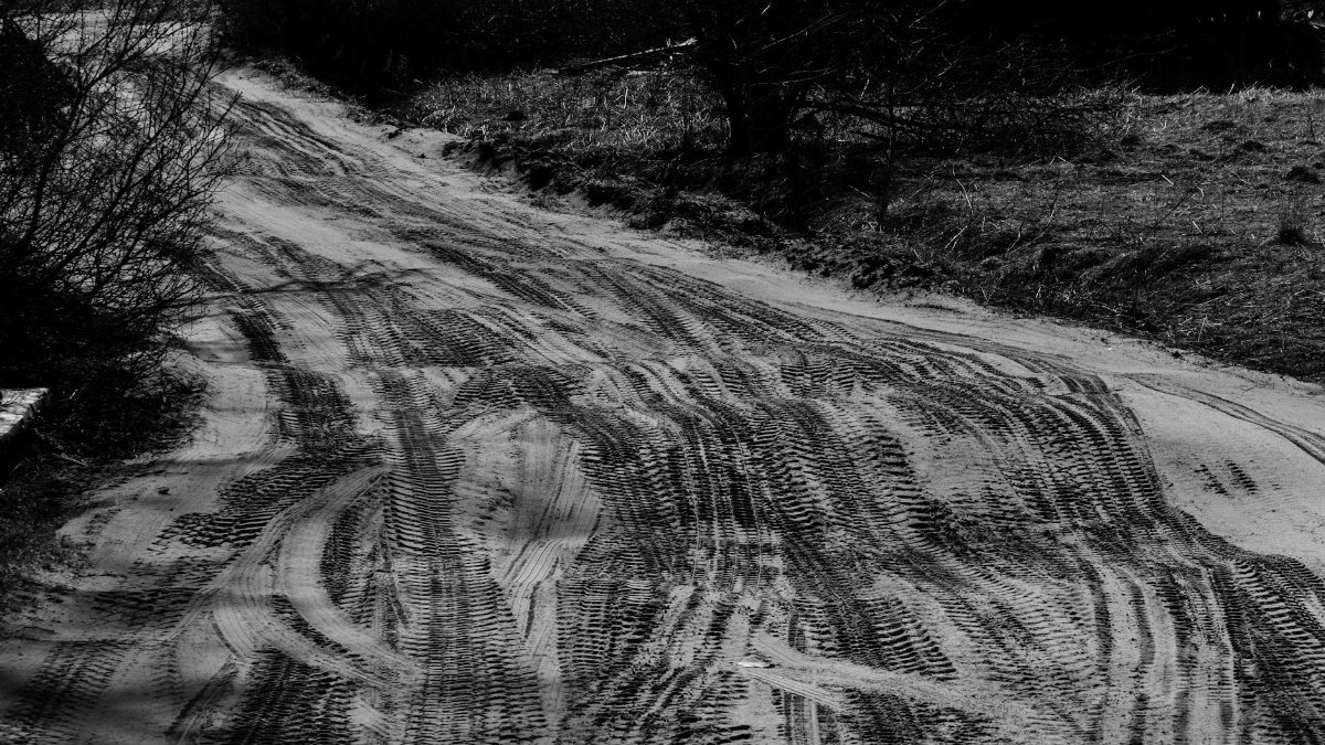 Black and white of narrow roadway with curved traces near dry shrub in daytime