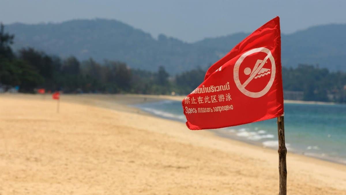 A red flag warning swim prohibition on a sandy beach with a hilly background.