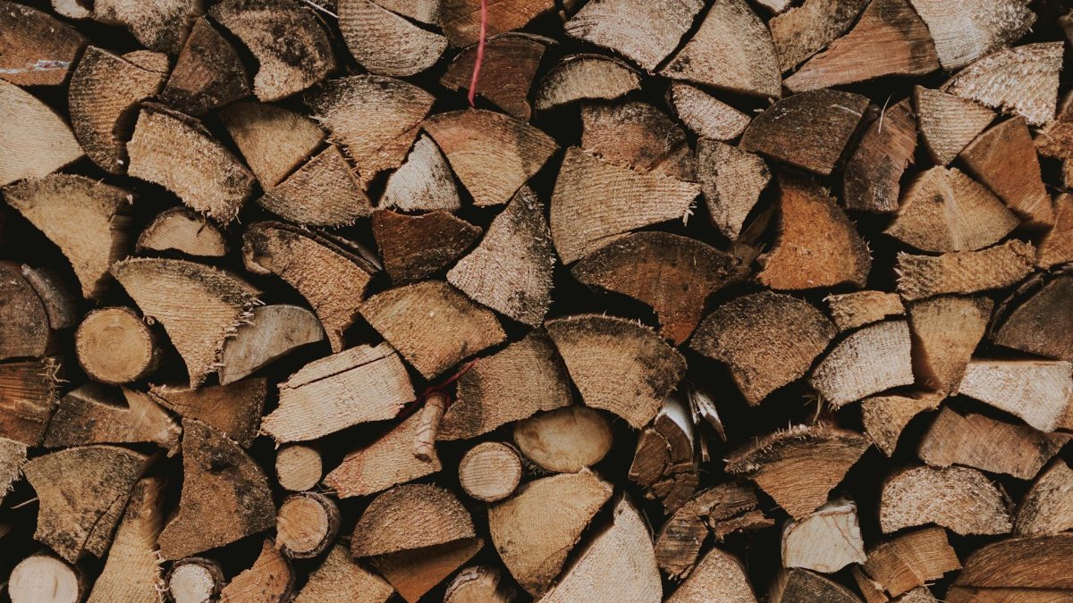 A close-up view of a neatly stacked pile of cut firewood, showcasing the textures and patterns of the wood.