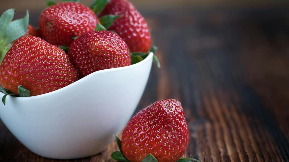 Close-up of fresh strawberries in a white bowl on a rustic wooden table, highlighting vibrant red color.