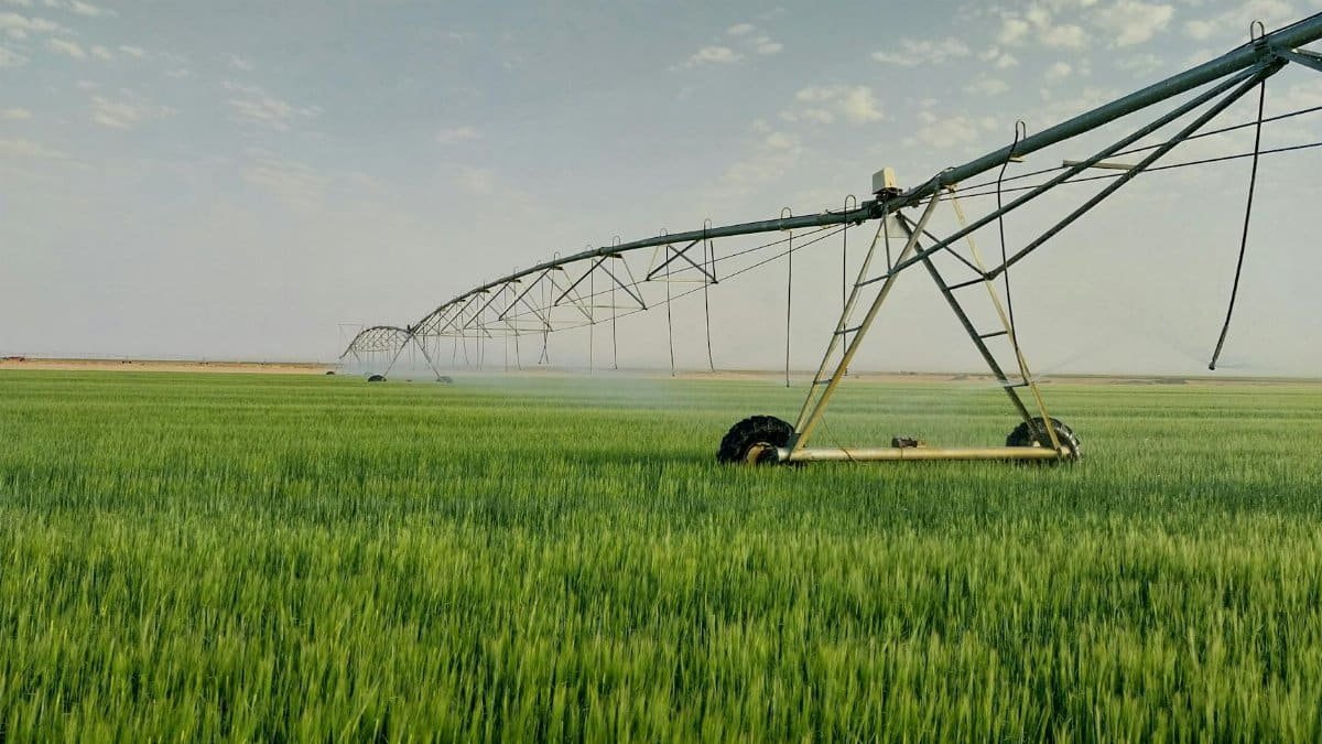 A pivot irrigation system waters lush green crops in an expansive rural field.