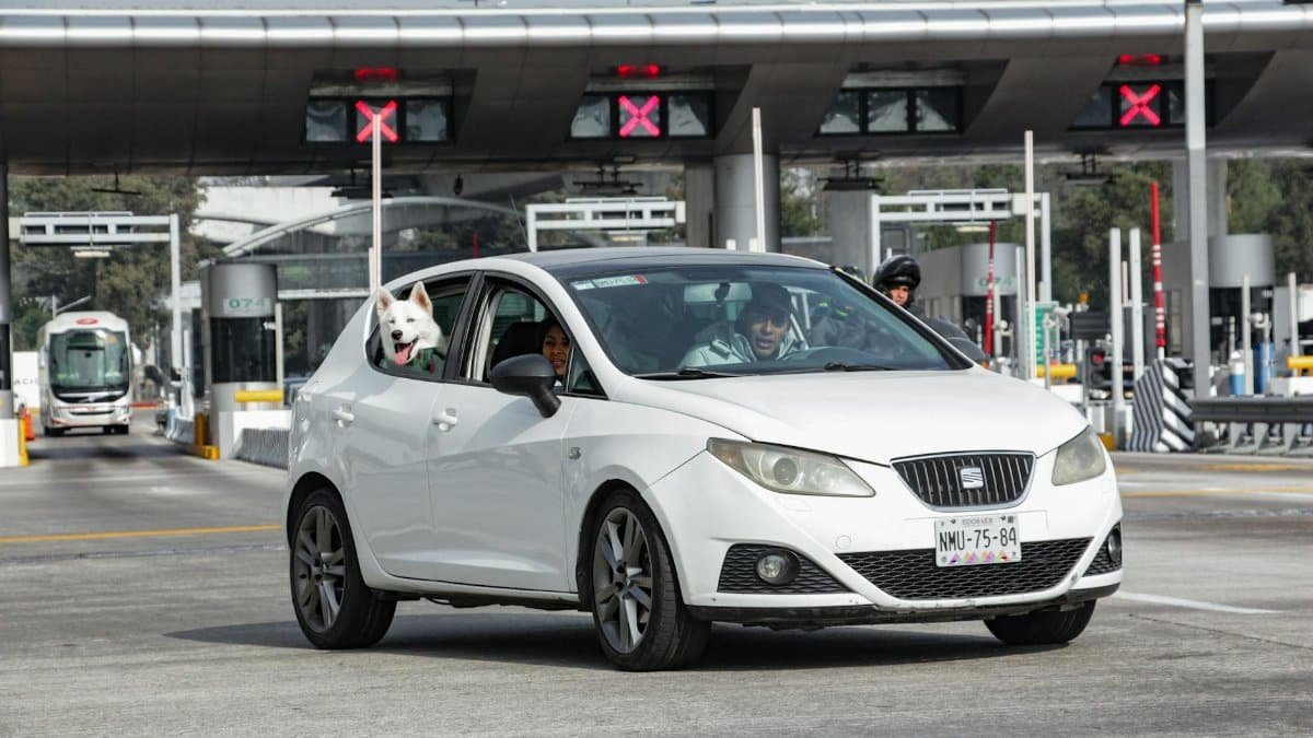 A white car driving through a toll booth with a dog leaning out the window.