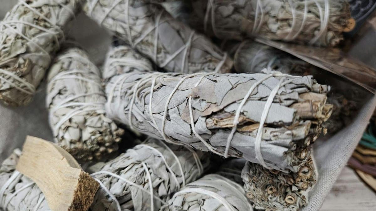 Close-up of dried white sage bundles used for smudging and cleansing rituals.