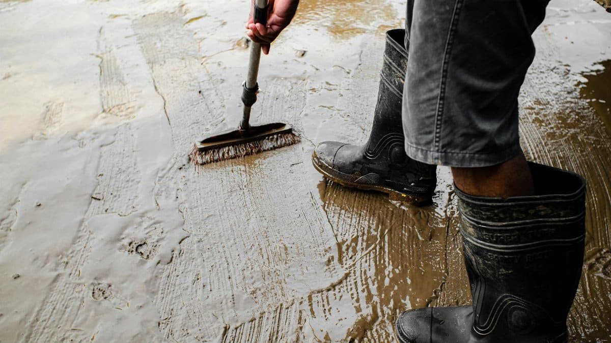 Side view of crop anonymous male worker in gumboots with brush priming cement floor at work