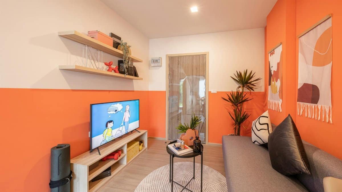 Contemporary living room featuring orange walls, stylish décor, and a cozy atmosphere.