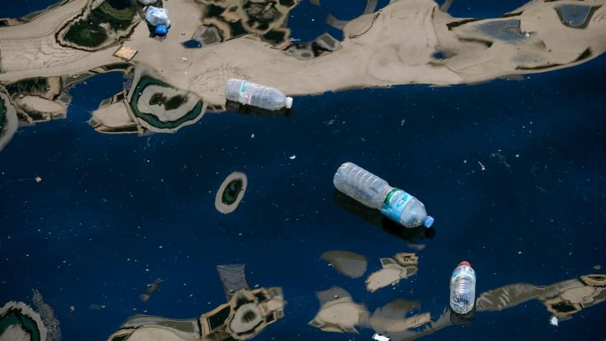 Plastic bottles floating in dark polluted water illustrating environmental pollution.