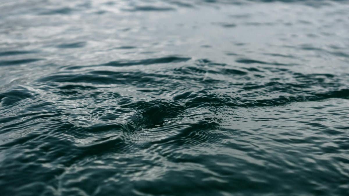 A tranquil scene of ocean ripples captured during daylight, showcasing soothing water textures.